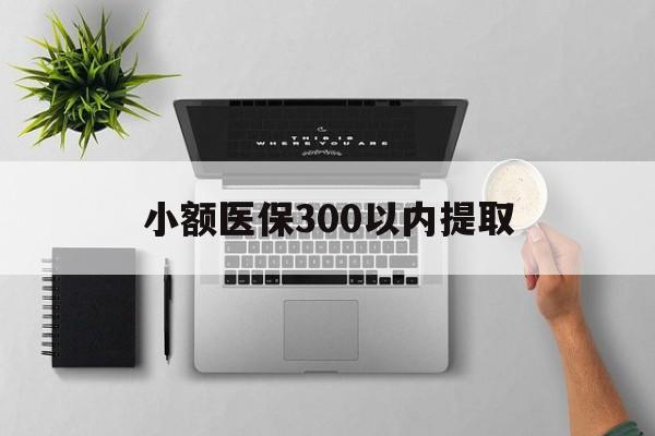 怒江最新小额医保300以内提取方法分析(最方便真实的怒江小额医保300以内提取中介方法)